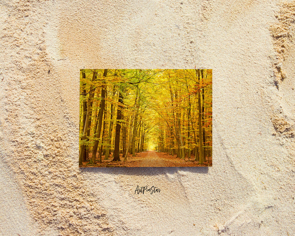 Autumn Park Pathway Landscape Custom Greeting Cards