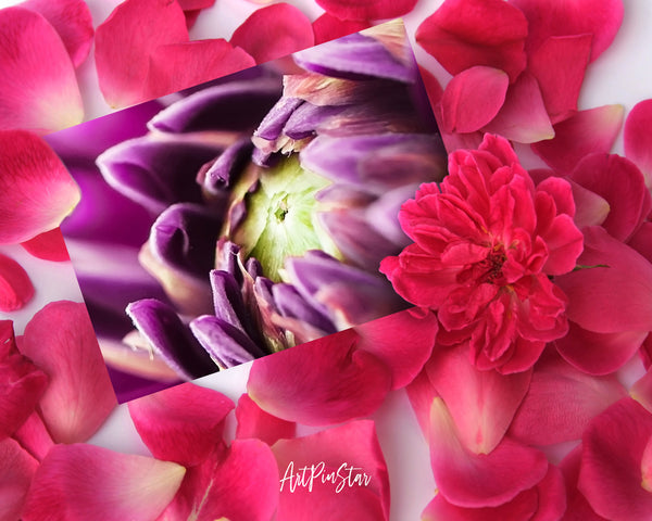 Chrysanthemum Flower Photo Art Customized Gift Cards