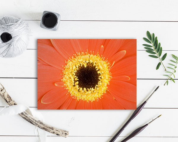 Gerbera Daisy Flower Photo Art Customized Gift Cards