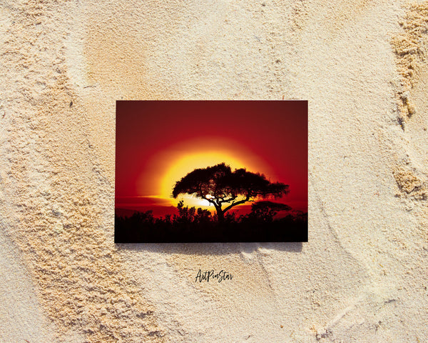 Tree Silhouettes in Africa with Sunrise Landscape Custom Greeting Cards