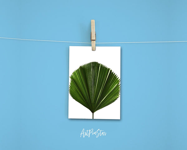Licuala Grandis or Ruffled Fan Palm Leaf Botanical Garden Customized Greeting Card