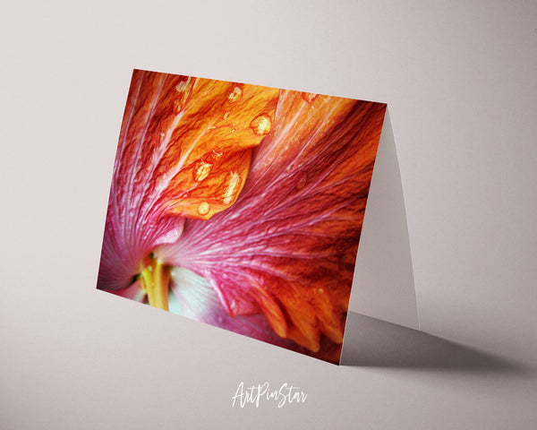 Hibiscus Flower Photo Art Customized Gift Cards