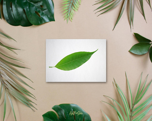 Green Leaf Botanical Garden Customized Greeting Card