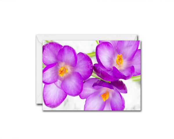 Crocuses Flower Photo Art Customized Gift Cards