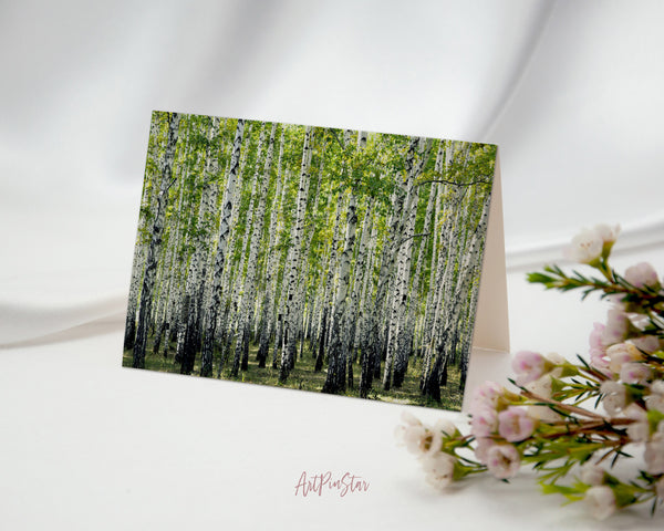 Birch Grove Trees Summer Landscape Custom Greeting Cards