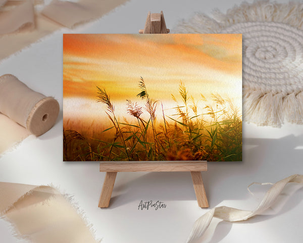 Grain Paddy Field, Foggy Morning Mist Landscape Custom Greeting Cards