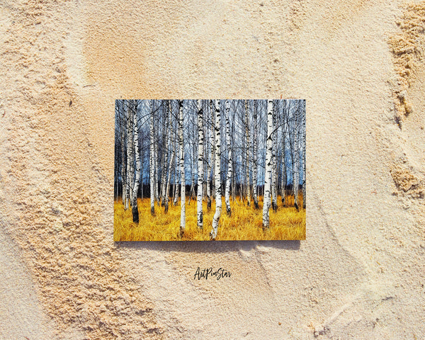 Birch Grove Tree Orange Grass Autumn Landscape Custom Greeting Cards