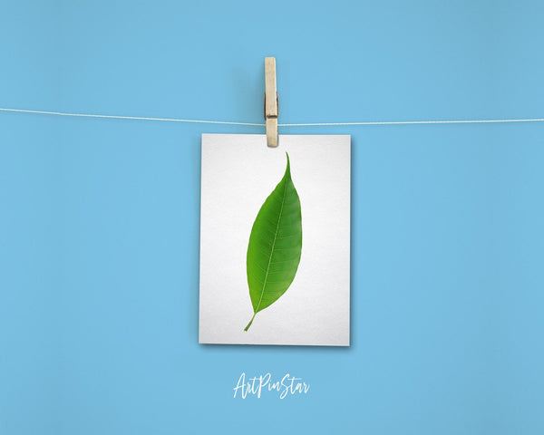 Green Leaf Botanical Garden Customized Greeting Card