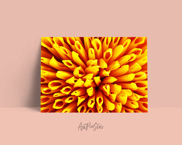 Chrysanthemum Flower Photo Art Customized Gift Cards