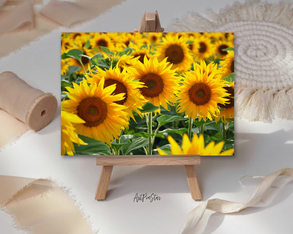 Sunflower Field Landscape Custom Greeting Cards
