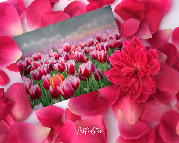 Tulips Flower Photo Art Customized Gift Cards