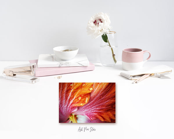 Hibiscus Flower Photo Art Customized Gift Cards