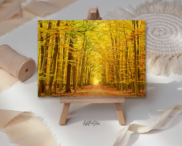 Autumn Park Pathway Landscape Custom Greeting Cards