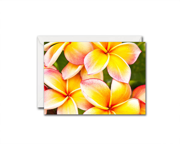 Plumeria Flower Photo Art Customized Gift Cards