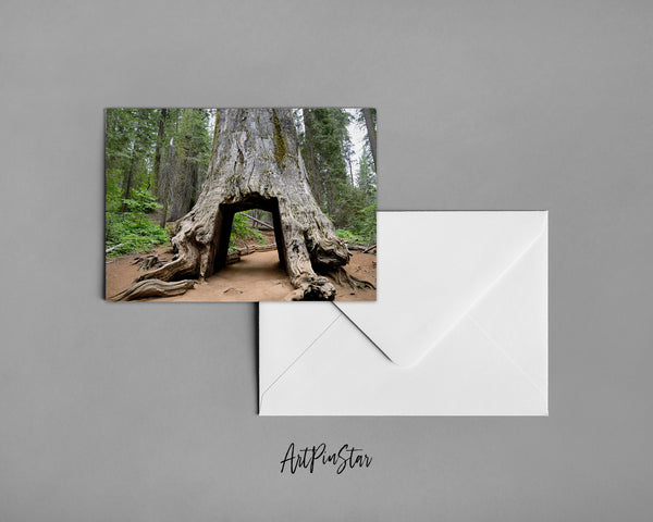 Giant Sequoia Tree Yosemite Valley National Park Landscape Custom Greeting Cards