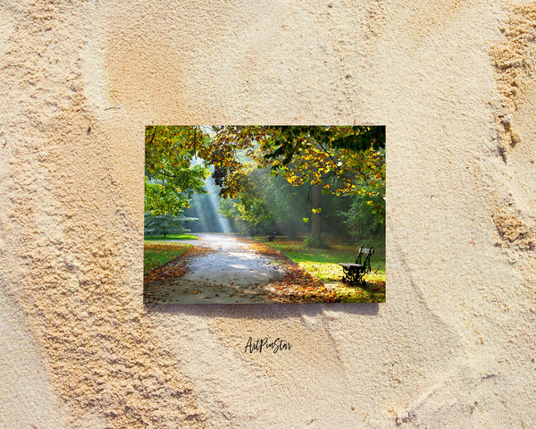 Autumn Park Path Sunlight Landscape Custom Greeting Cards