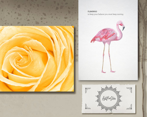 Rose Flower Photo Art Customized Gift Cards
