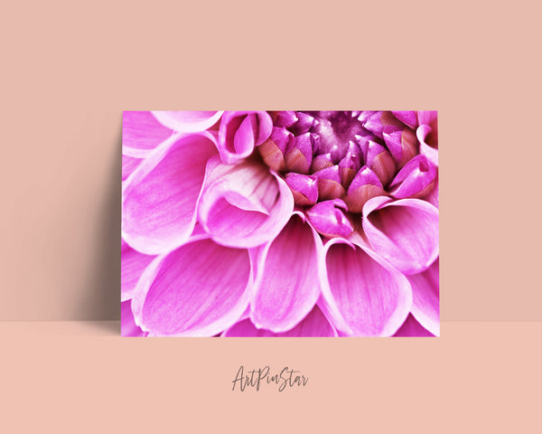 Chrysanthemum Flower Photo Art Customized Gift Cards