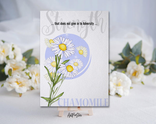 Chamomile Flower Meanings Symbolism Customized Gift Cards