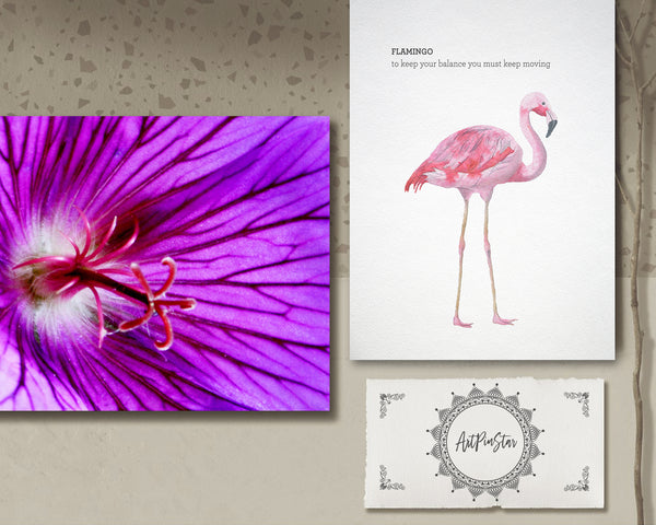 Cranesbill Geranium Flower Photo Art Customized Gift Cards