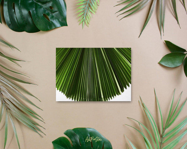 Licuala Grandis or Ruffled Fan Palm Leaf Botanical Garden Customized Greeting Card