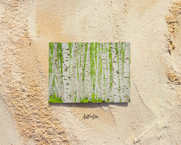 Birch Forest Mongolia, China Landscape Custom Greeting Cards