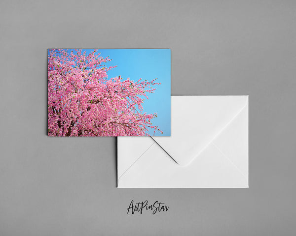 Cherry Blossom, Japan Landscape Custom Greeting Cards