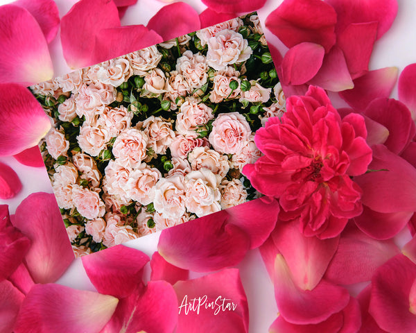 Rose Flower Photo Art Customized Gift Cards