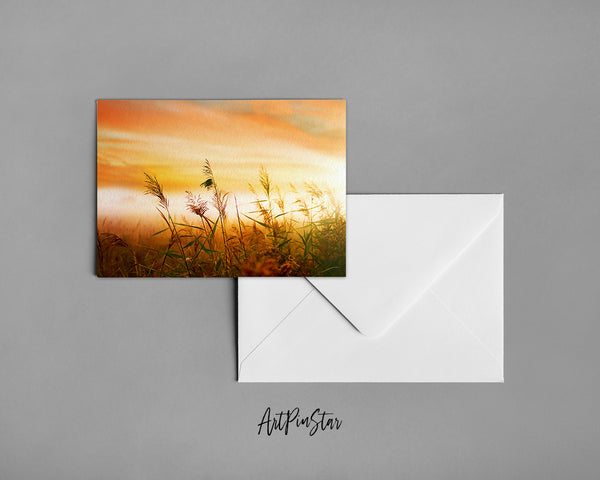 Grain Paddy Field, Foggy Morning Mist Landscape Custom Greeting Cards