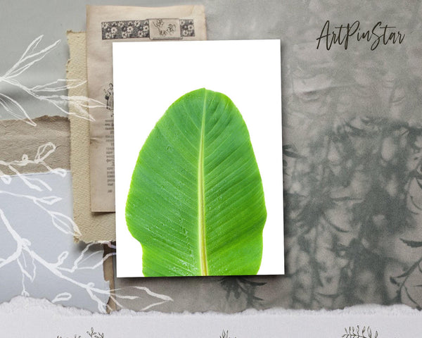 Banana leaf Botanical Garden Customized Greeting Card