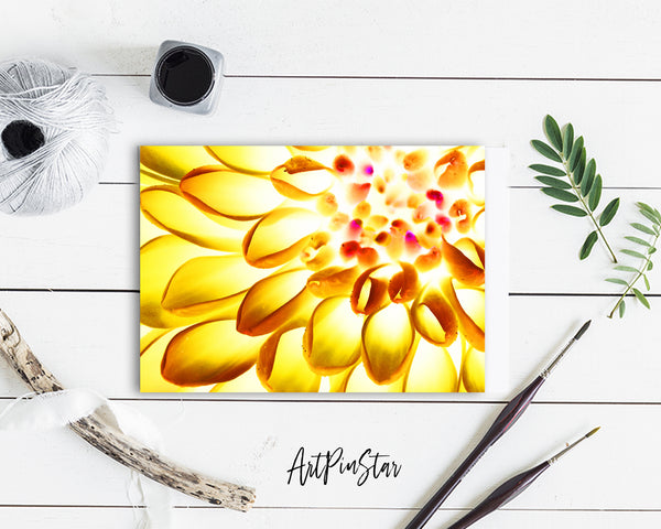 Chrysanthemum Flower Photo Art Customized Gift Cards