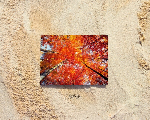 Forest Autumn Landscape Custom Greeting Cards