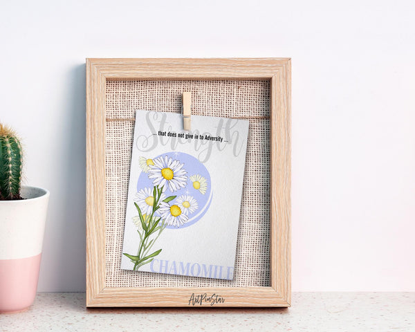 Chamomile Flower Meanings Symbolism Customized Gift Cards