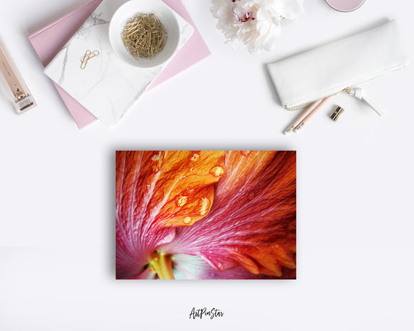Hibiscus Flower Photo Art Customized Gift Cards