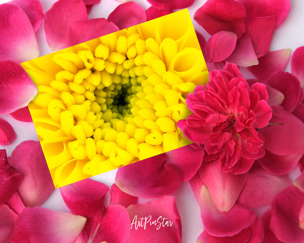 Chrysanthemum Flower Photo Art Customized Gift Cards