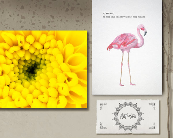 Chrysanthemum Flower Photo Art Customized Gift Cards