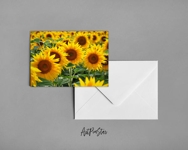 Sunflower Field Landscape Custom Greeting Cards