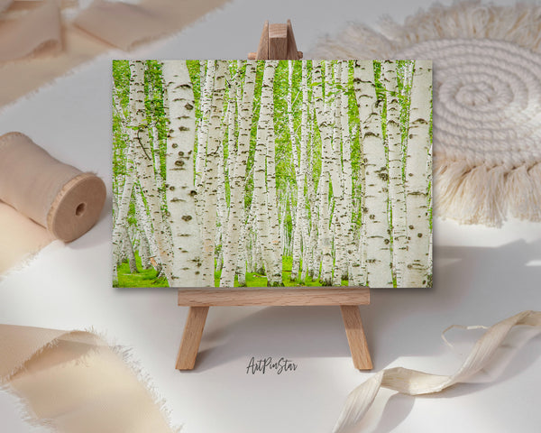 Birch Forest Mongolia, China Landscape Custom Greeting Cards