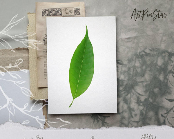 Green Leaf Botanical Garden Customized Greeting Card