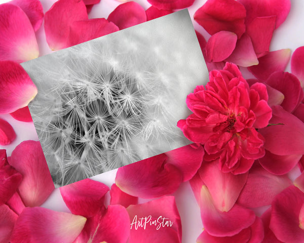 Dandelion Flower Photo Art Customized Gift Cards