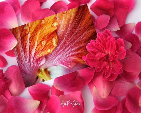 Hibiscus Flower Photo Art Customized Gift Cards