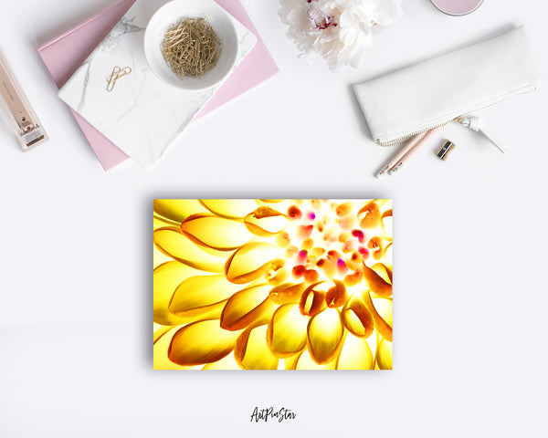 Chrysanthemum Flower Photo Art Customized Gift Cards