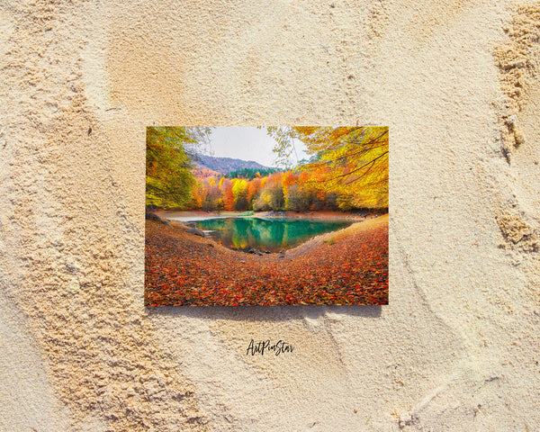 Autumn Colorful Leaves National Park Lake Magnificent Yedigoller, Bolu, Istanbul, Turkey Landscape Pattern Greeting Cards