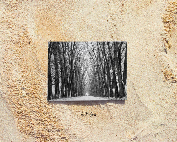Tree in Winter Silhouettes Landscape Custom Greeting Cards