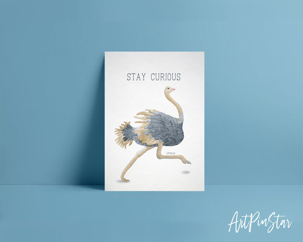 Stay Curious Ostrich Animal Greeting Cards