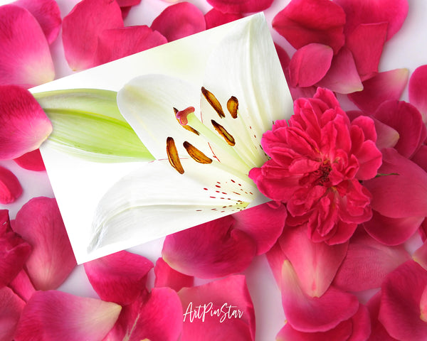 Lily Flower Photo Art Customized Gift Cards