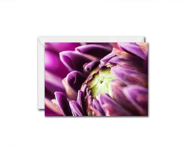 Chrysanthemum Flower Photo Art Customized Gift Cards