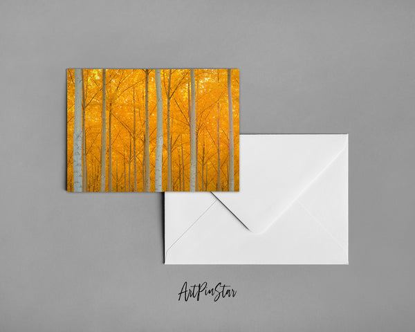 Autumn Bright Yellow Vibrant Trees Leaves Landscape Custom Greeting Cards