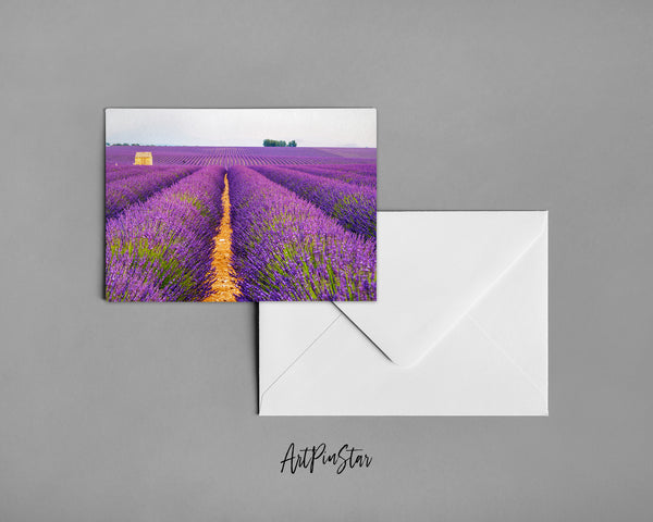 Lavender Fields Landscape Custom Greeting Cards