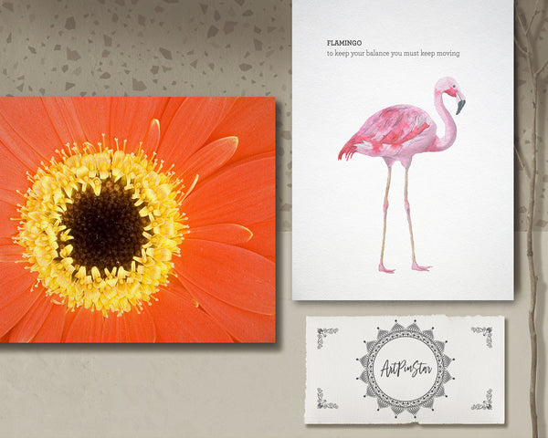 Gerbera Daisy Flower Photo Art Customized Gift Cards